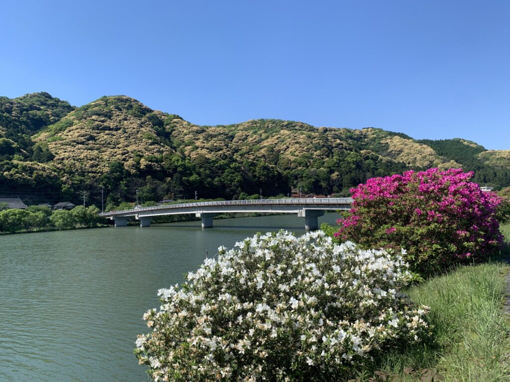 ドライブ中の景色が最高の５月